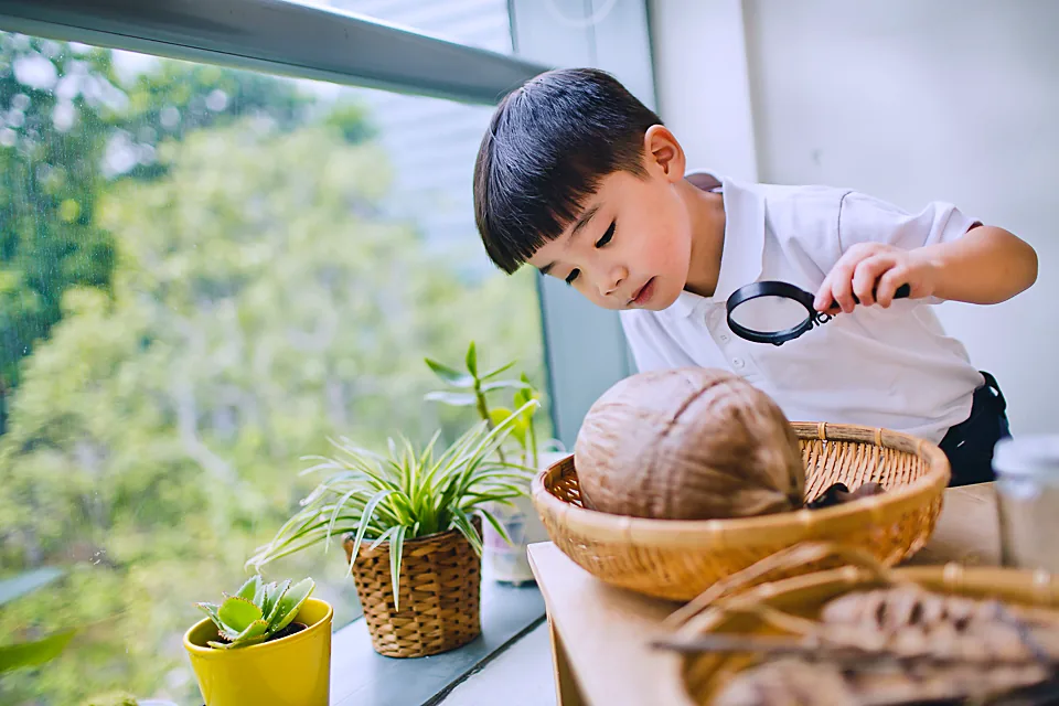 A Josiah Montessori child examining nature objects with a magnifying glass.