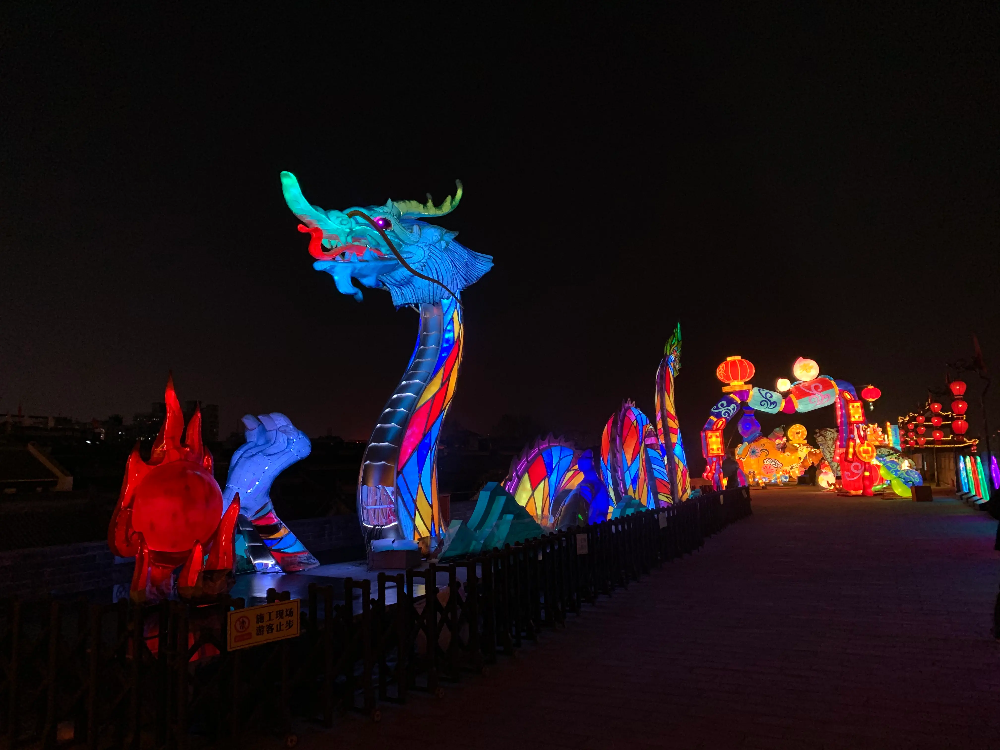 Dragon Through Time — The illuminated dragon