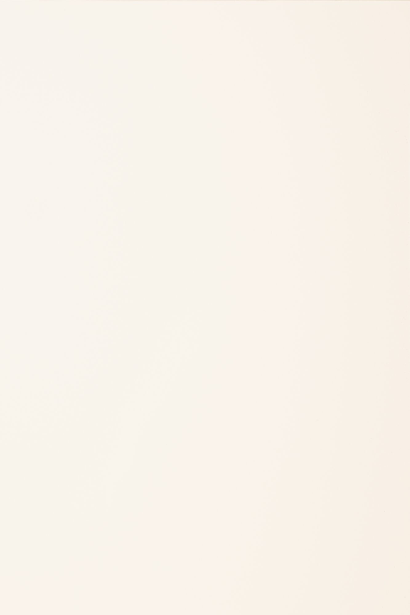 Matte White cabinet door finish