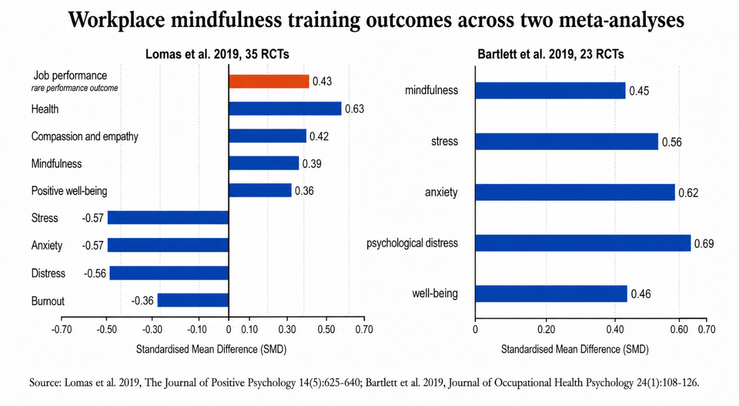 Workplace mindfulness training outcomes across two meta-analyses of randomised trials.