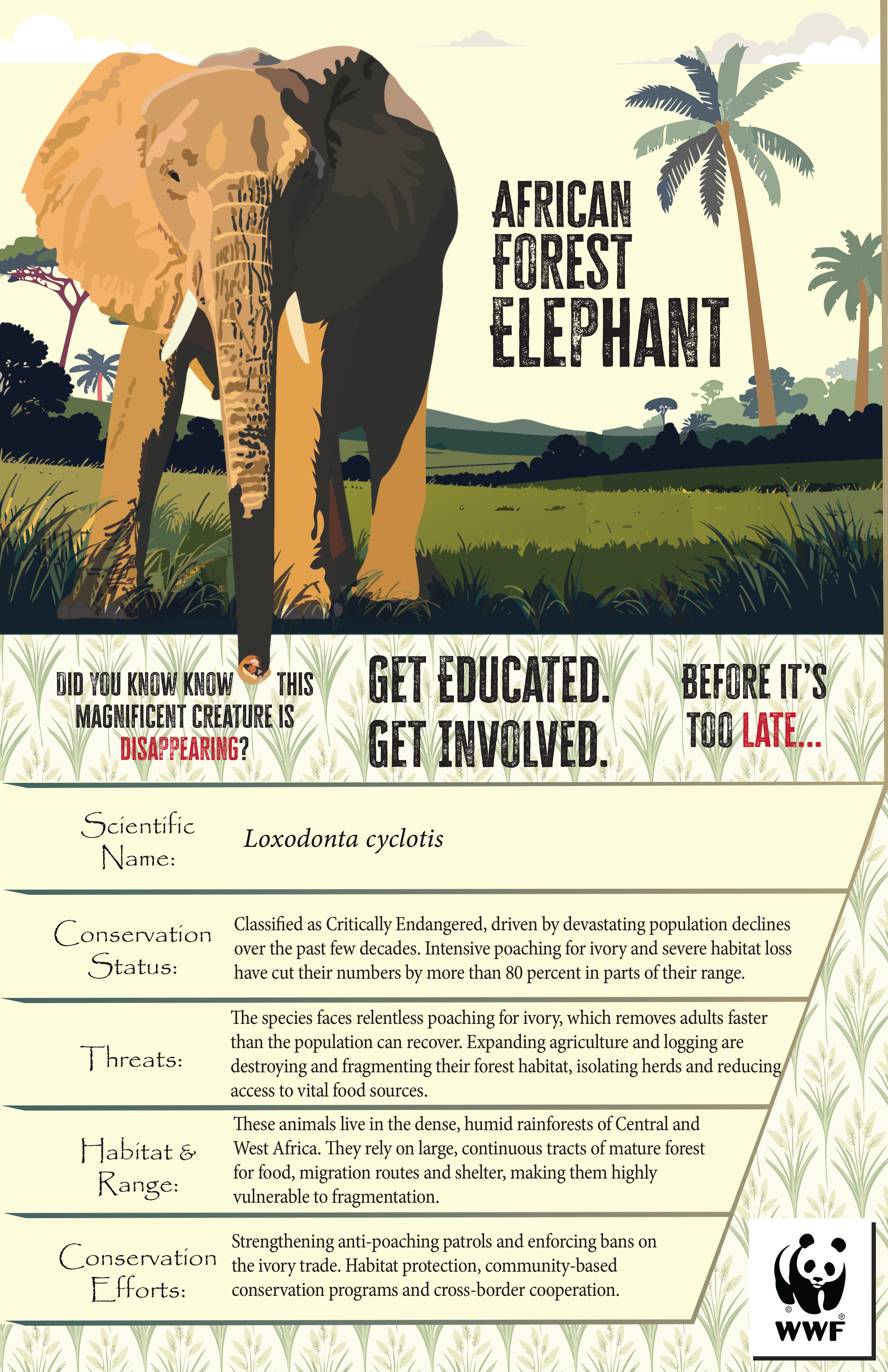 Final project poster