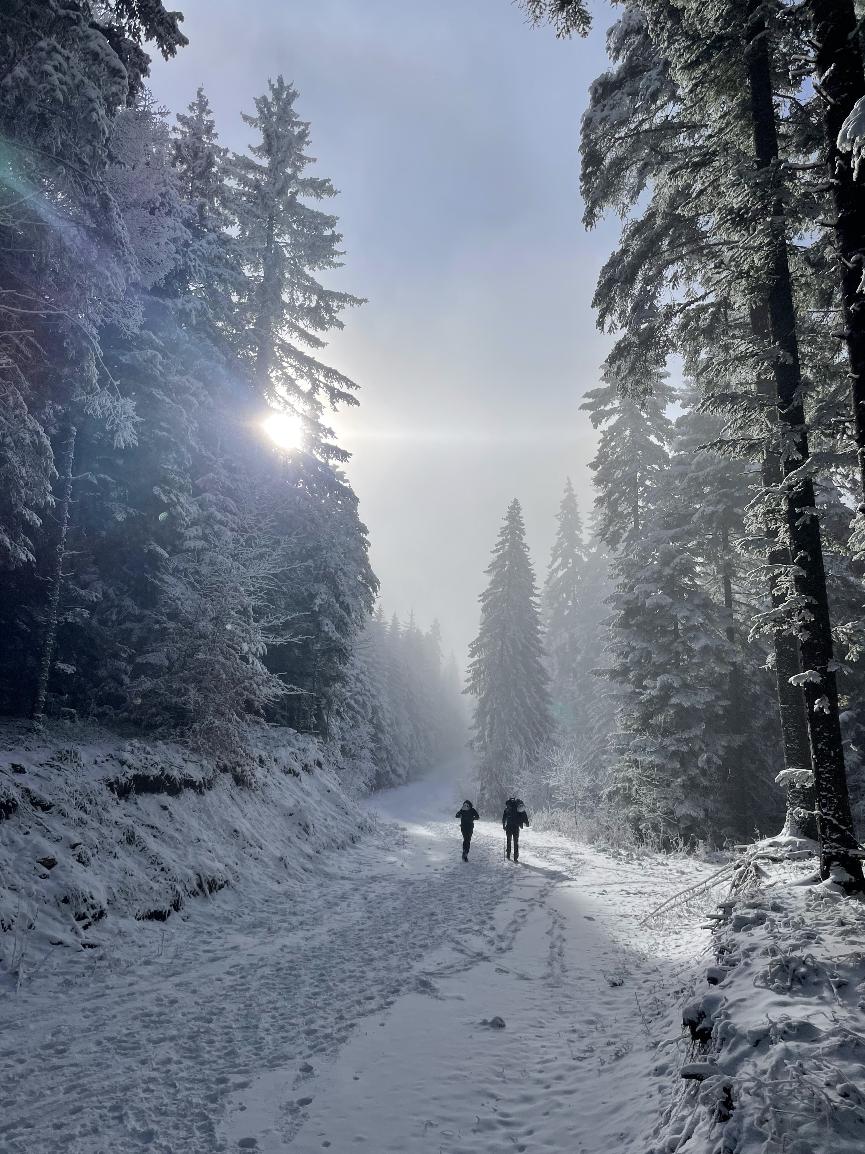 Outdoor photograph from a Borova trip in the Balkans