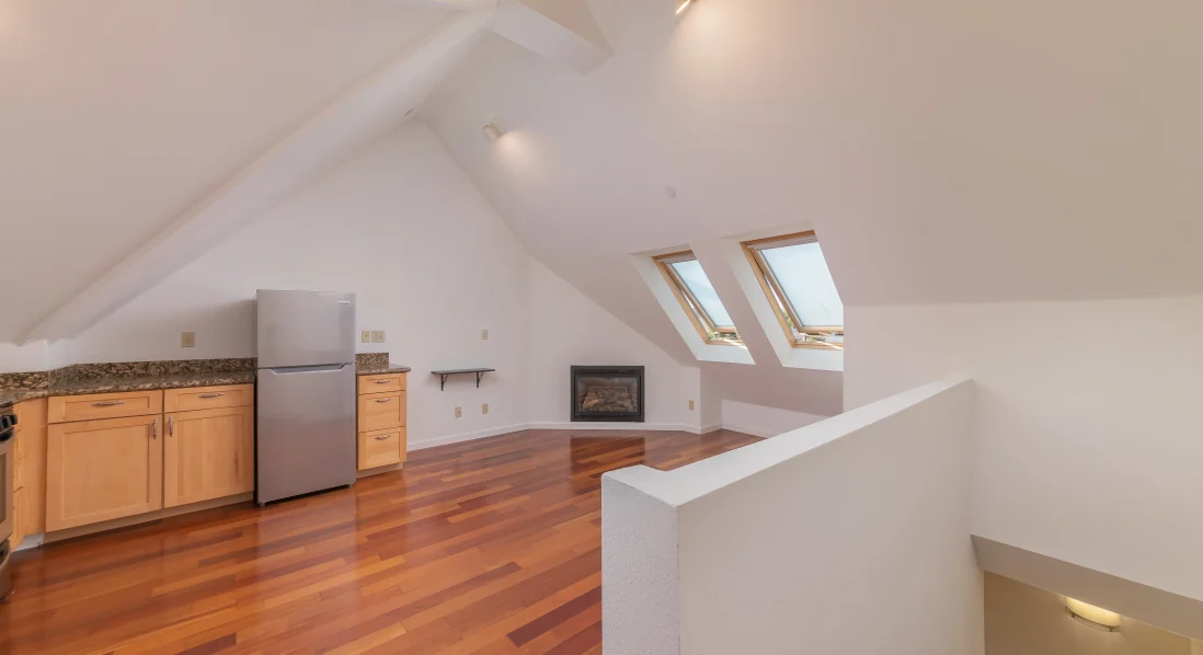 Living room and kitchen