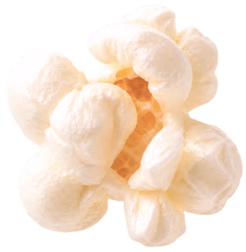 floating piece of popcorn