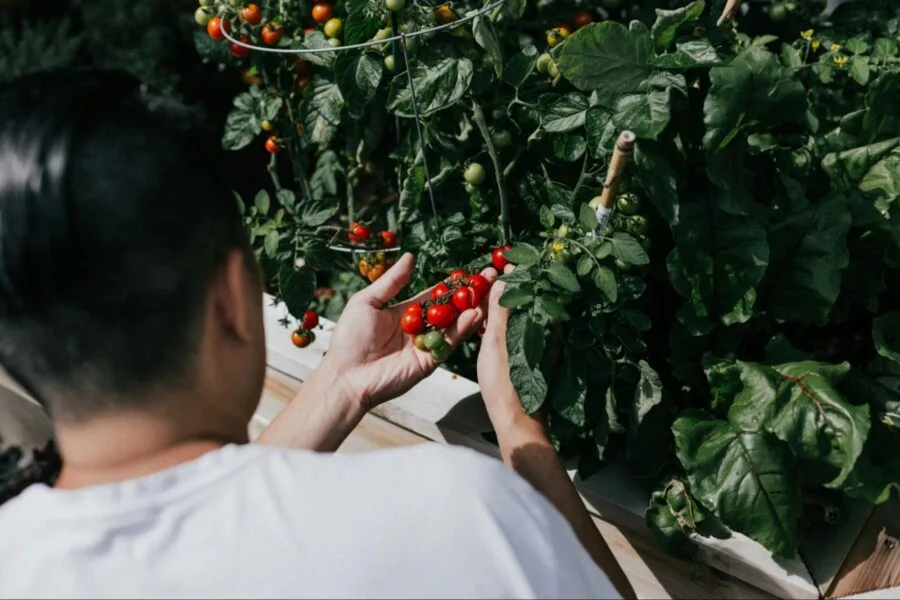 Why seasonal menus are good for business