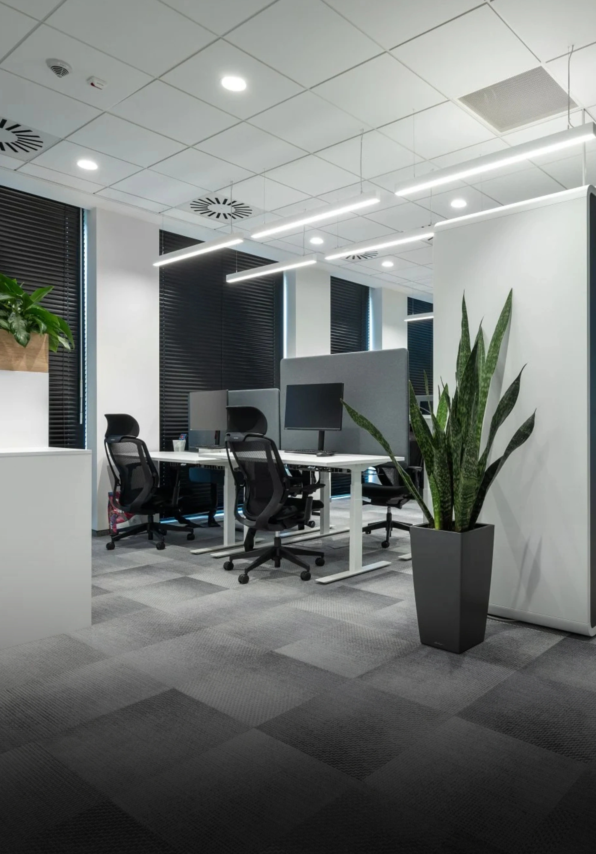 Modern open office interior with desks, plants, glass partitions and corridor