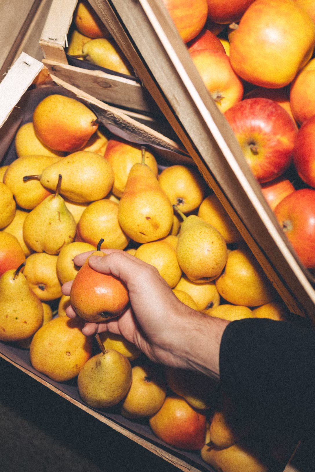 Une main saisissant une poire rouge parmi des poires jaunes dans une caisse en bois, des pommes visibles à côté.