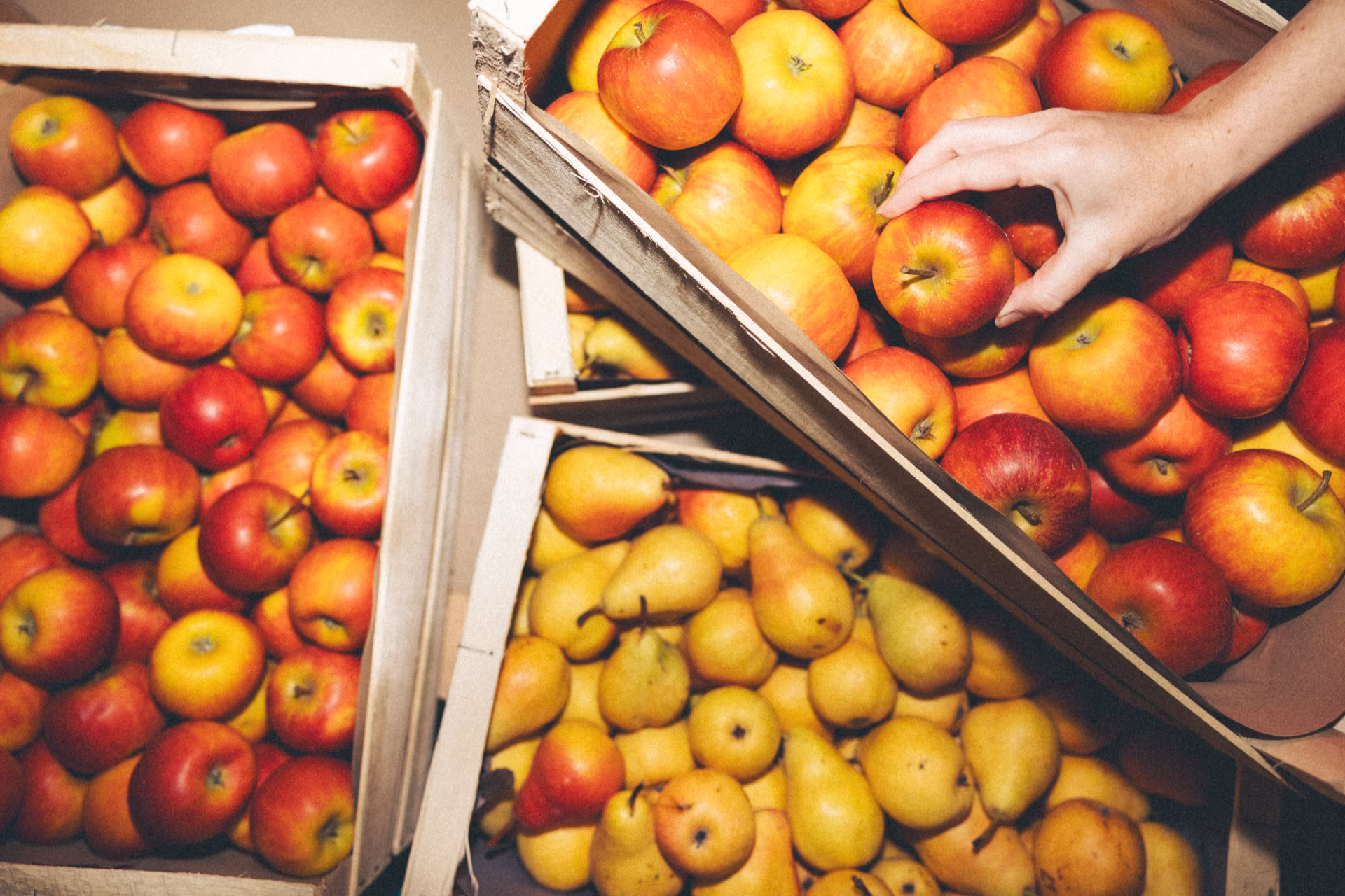 Main droite saisissant une pomme rouge dans une caisse remplie de pommes et de poires jaunes.