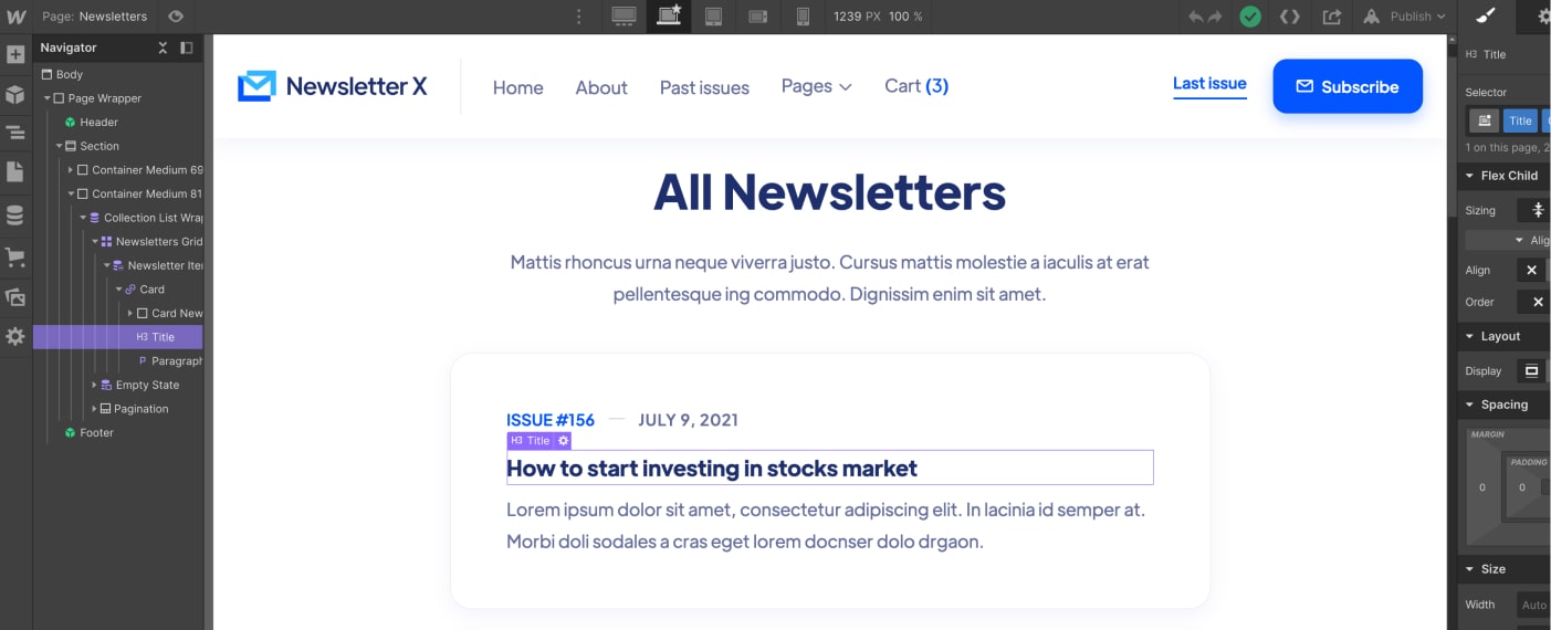 Dynamic Content CMS - Newsletter X Webflow Template