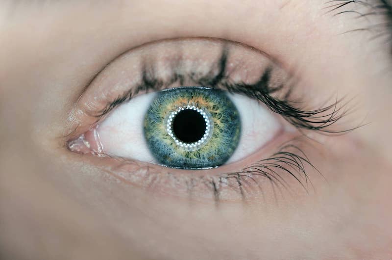 Customer Experience: More Than Meets The Eye