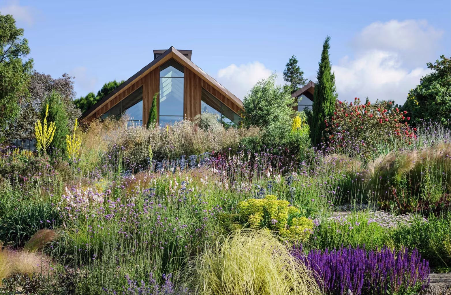 House with large glass windows behind diverse colourful garden plants under blue sky.