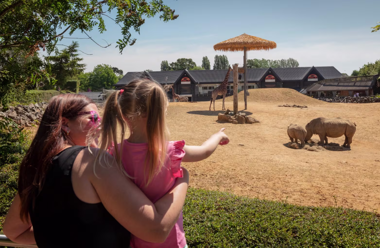 A woman and child at a zoo watching giraffes and rhinos in a sunny animal enclosure.