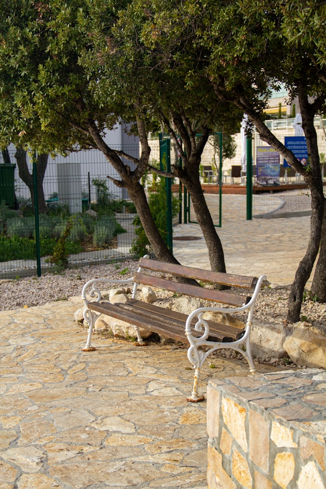 a wooden bench on the seaside