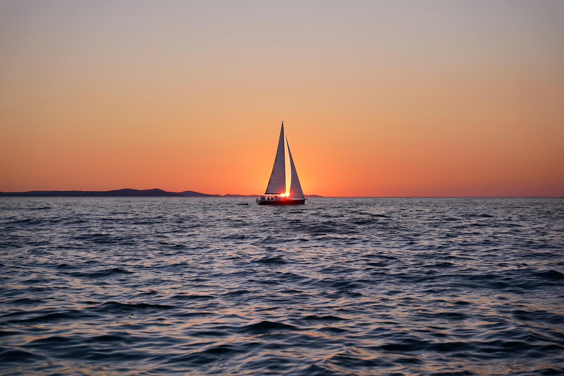 Boat Tours