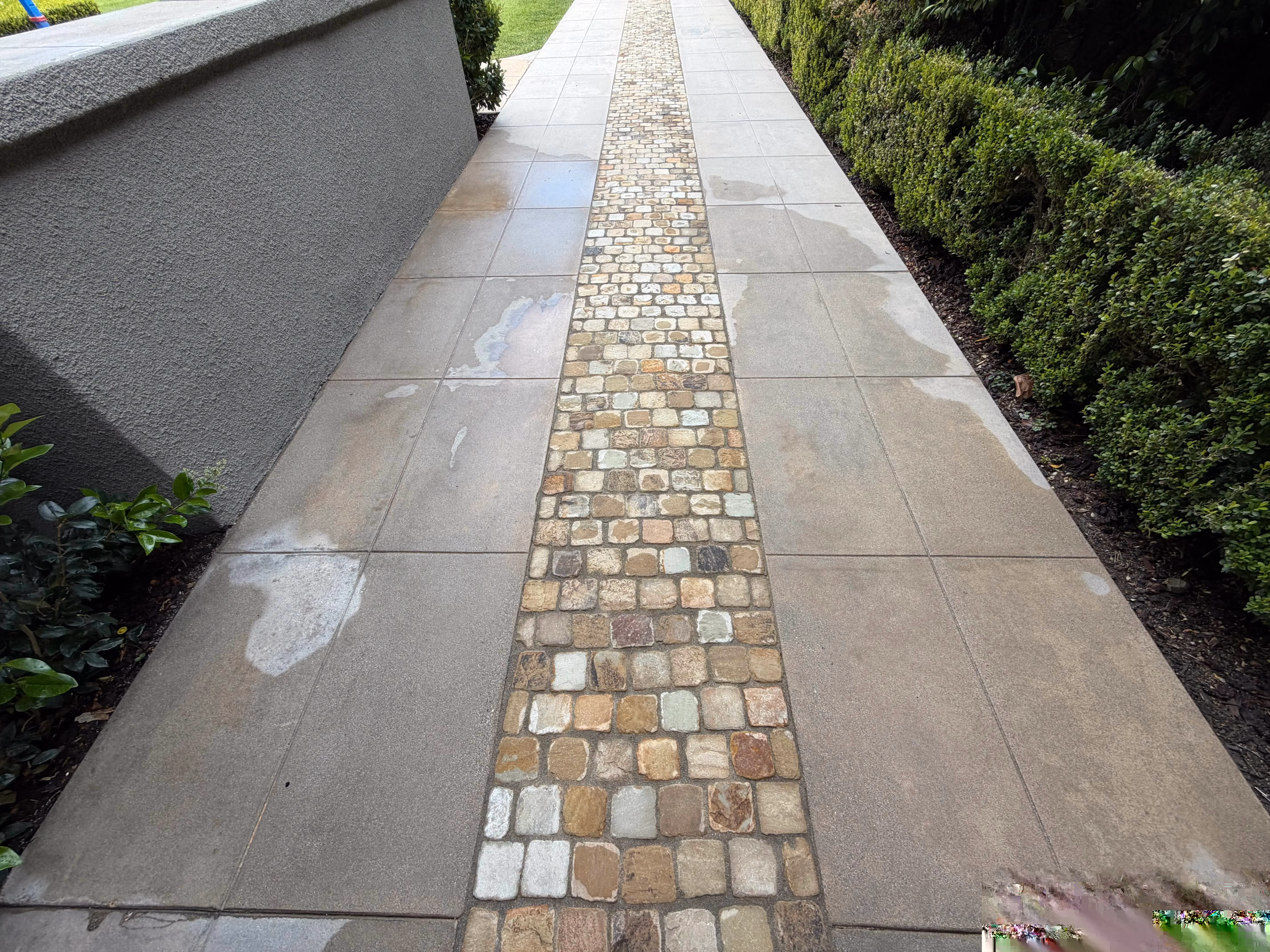 Clean stone paver walkway after pressure washing by Rexterior in Pasadena
