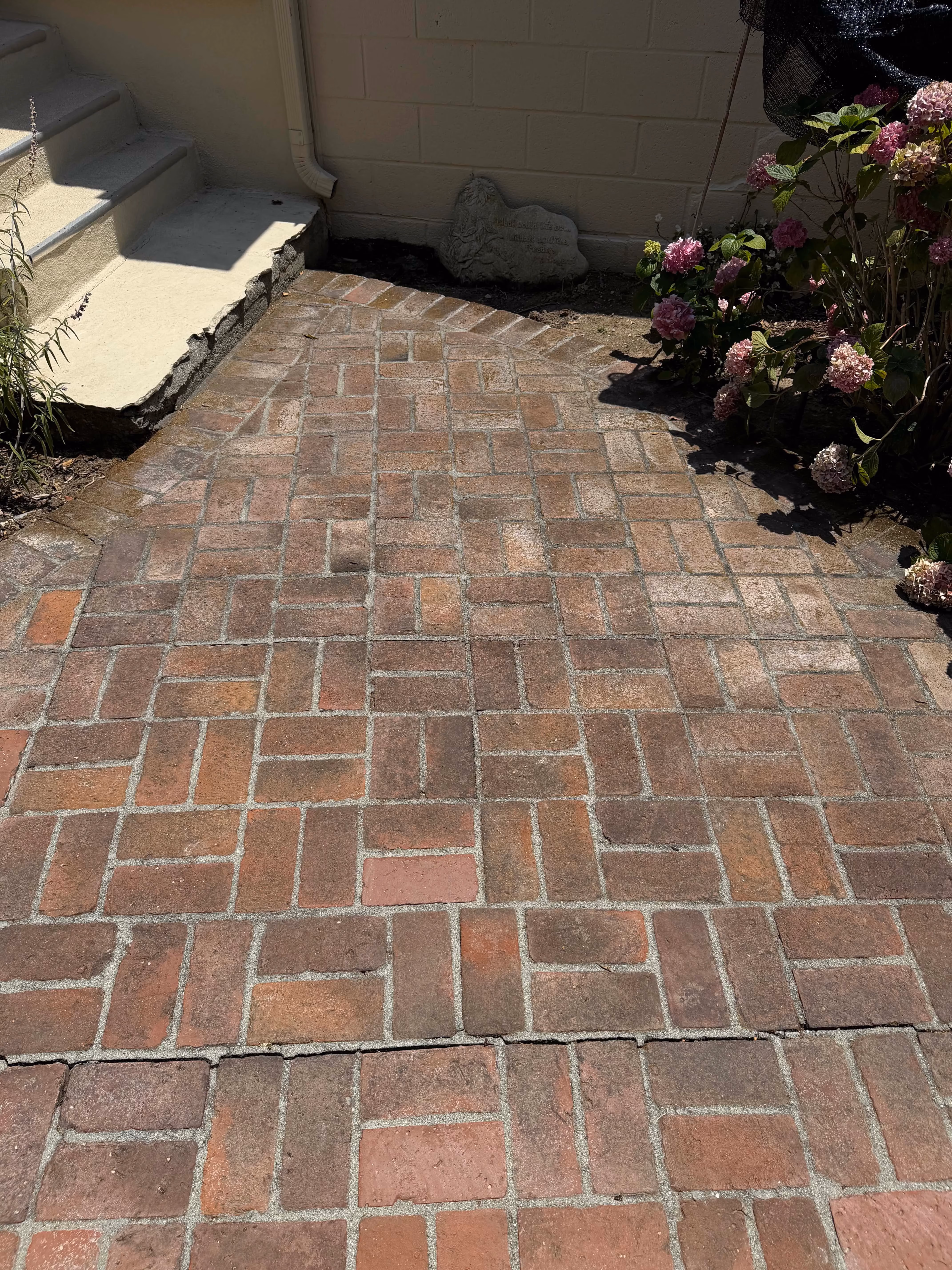 Before pressure washing in Pasadena