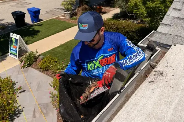 Rexterior gutter cleaning service in Pasadena, CA