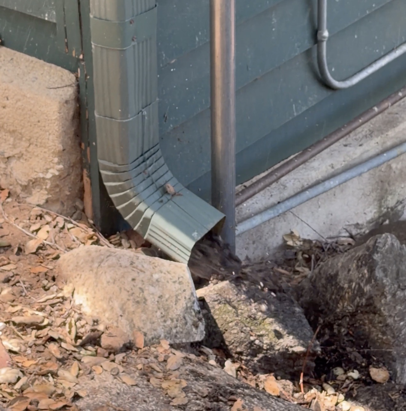 Downspout flushing during gutter cleaning in Pasadena, CA