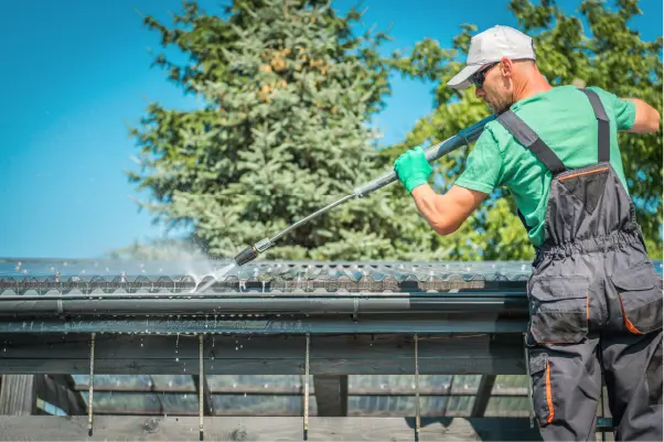 Rexterior roof cleaning service in Pasadena, CA