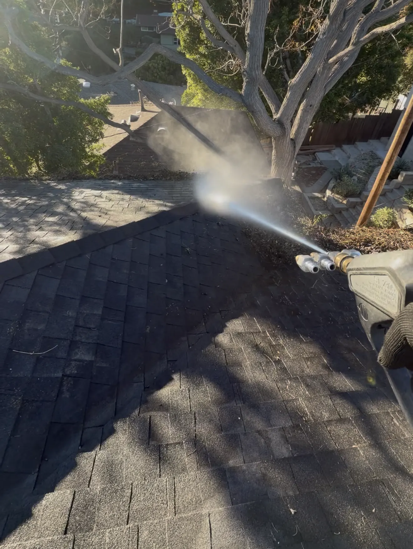 Algae and moss removal from a roof in Pasadena, CA
