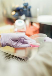 medical research