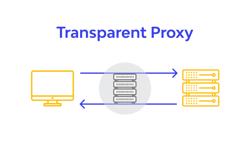 What is the Transparent Proxy❓