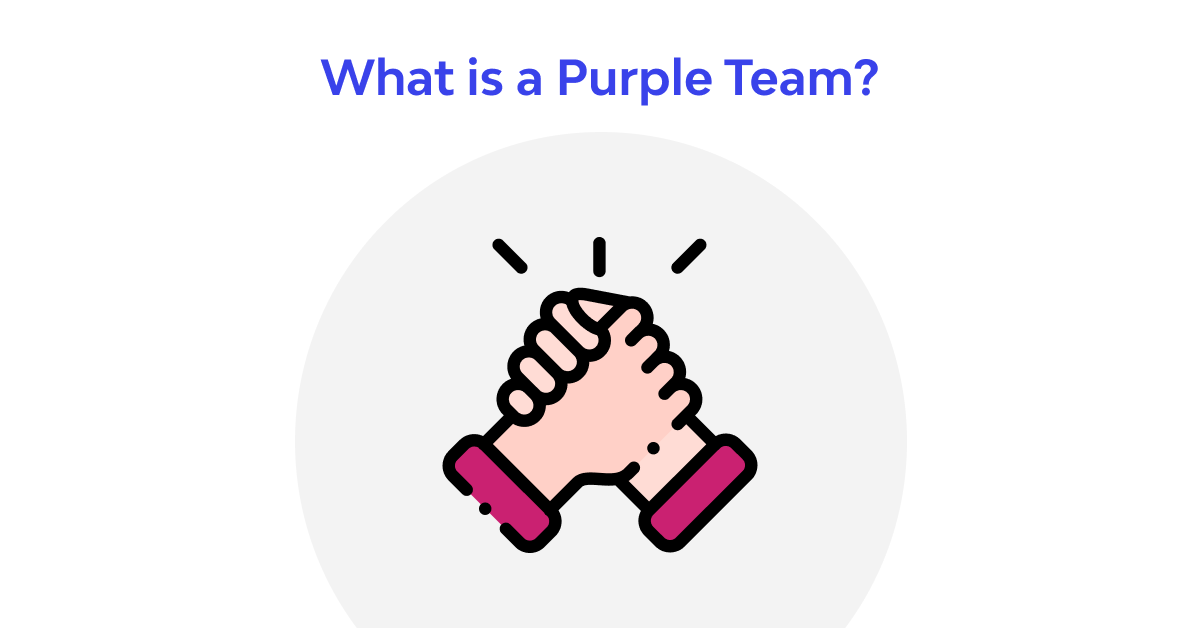 What is a Purple Team❓