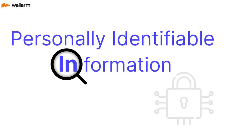 Guidance on the Protection of Personal Identifiable Information (PII) in 2025