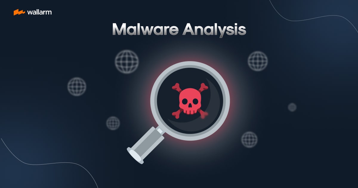 The Complete Guide to Exploring Malware Analysis
