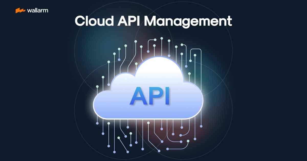 Demystifying the Intricacies of Cloud API Management
