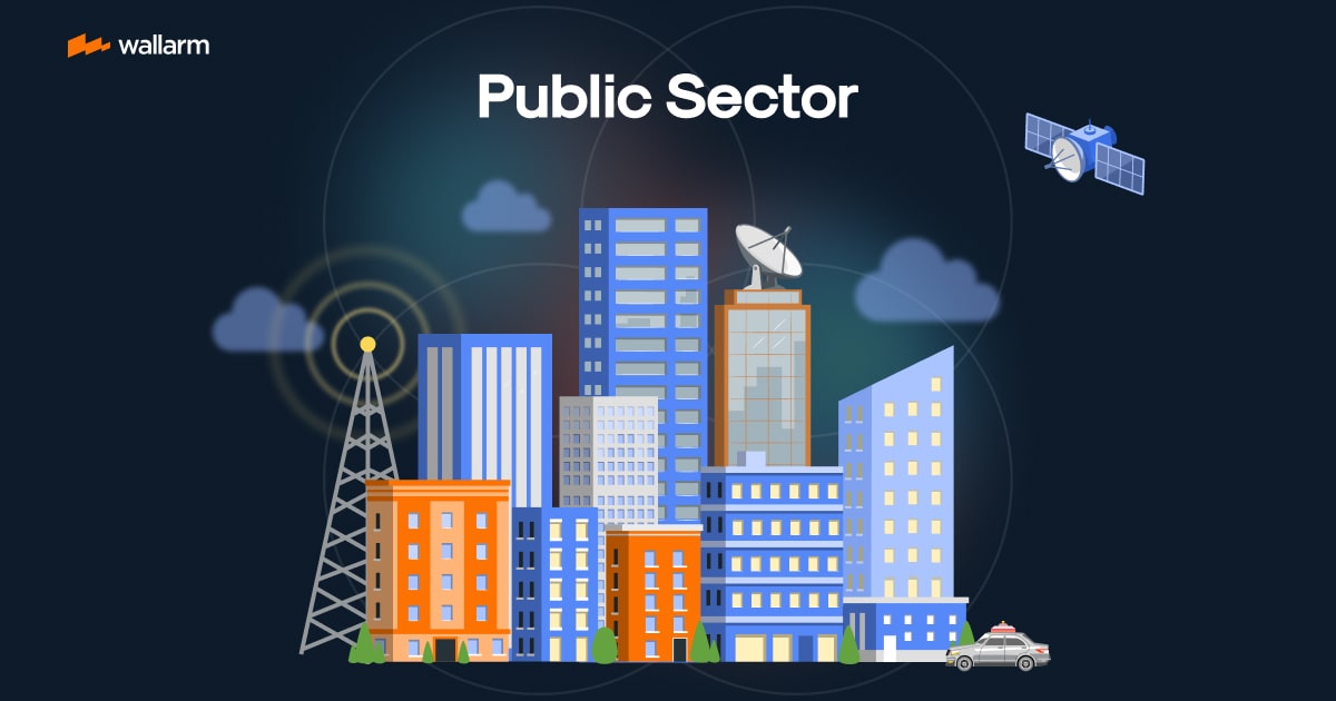 The Grand Public Sector: A Guided Tour through its Intricacies