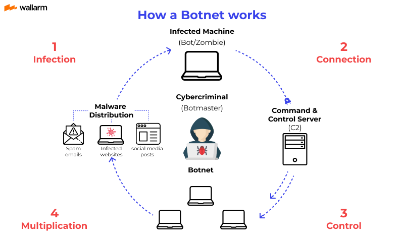 How does botnet work