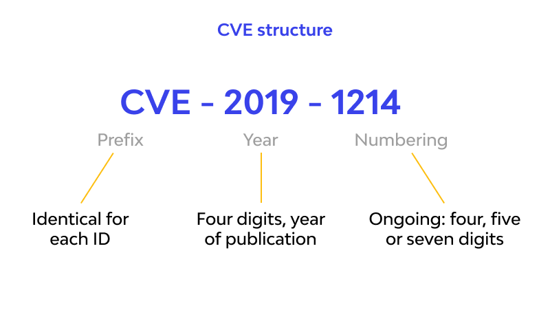 What is a CVE Identifier