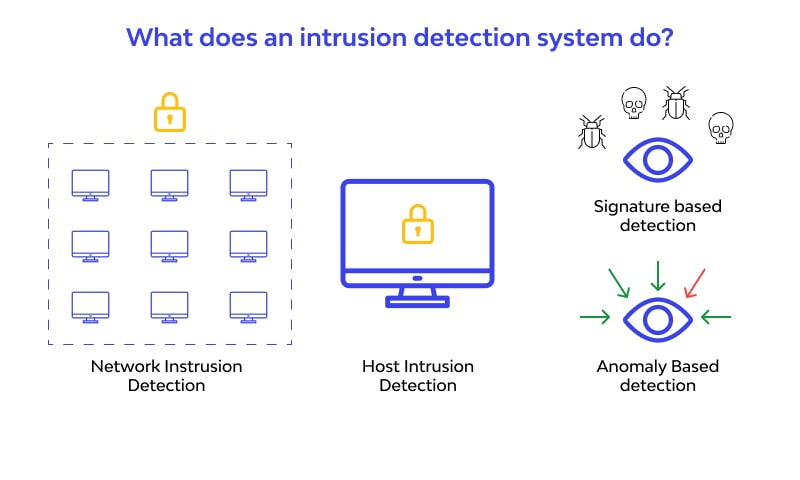 What does an intrusion detection system do
