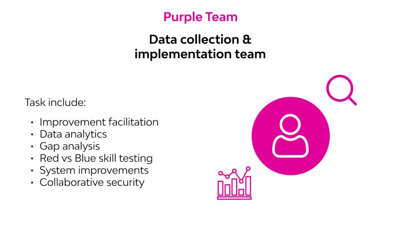 purple team task