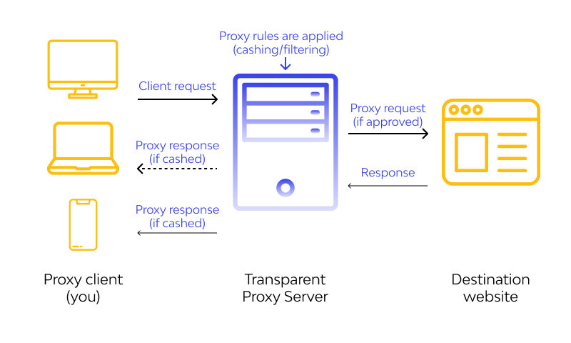 Transparent Proxies work 