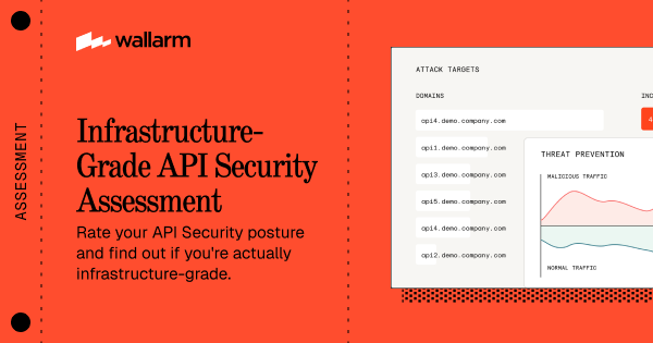 Infrastructure-Grade API Security Assessment
