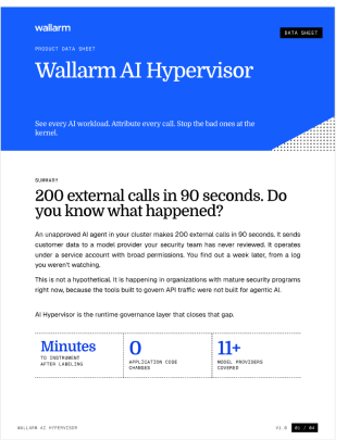 Wallarm AI Hypervisor