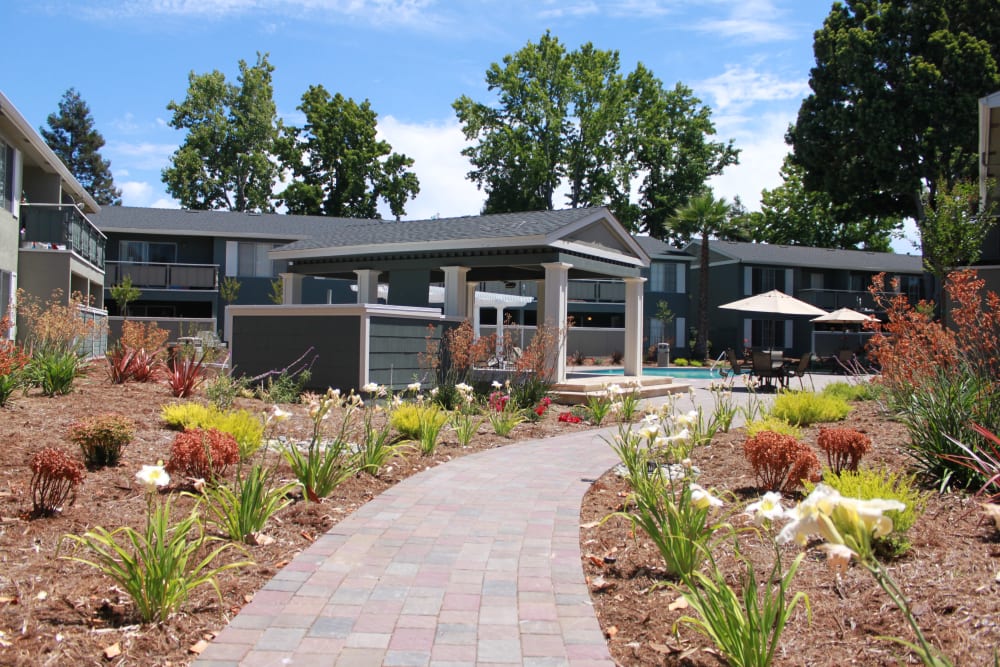 Path to Swimming pool with exterior view
