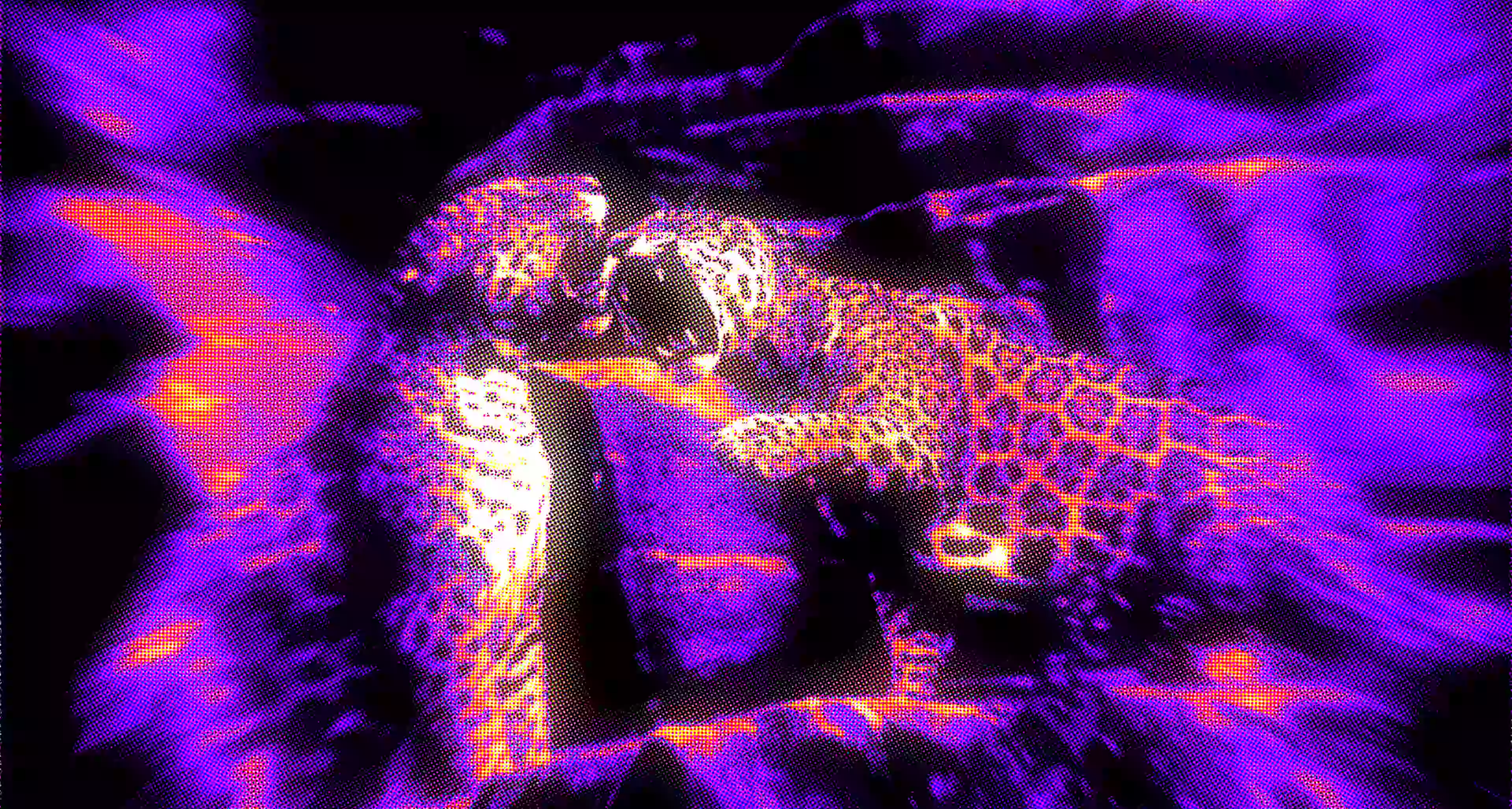 Two jaguars resting closely together with a purple and orange digital effect overlay.