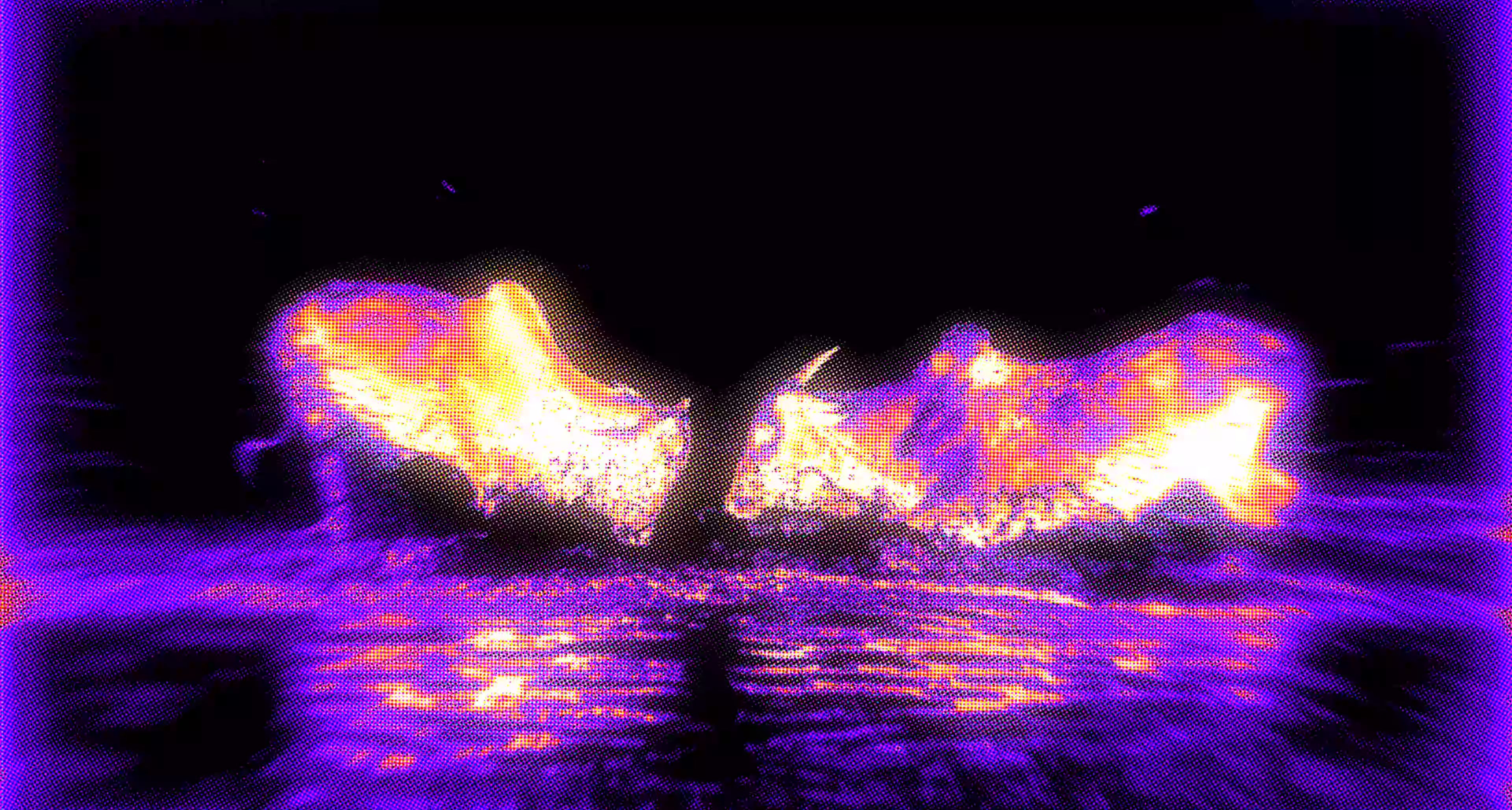 Infrared thermal image of two buffalos facing each other near water with heat patterns in yellow and purple.