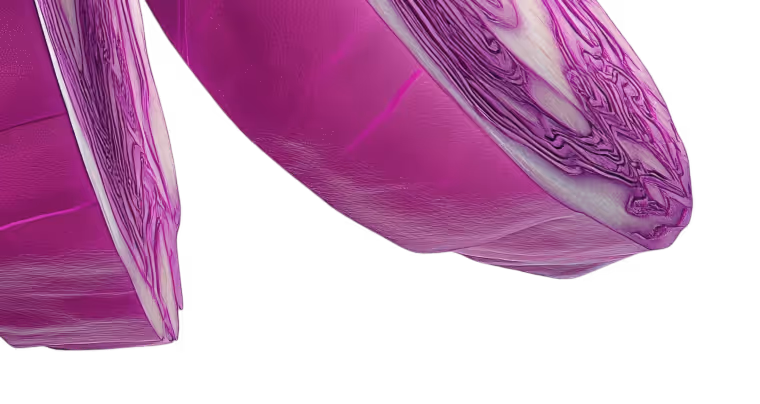 Close-up of two purple cabbage halves showing their textured layers.