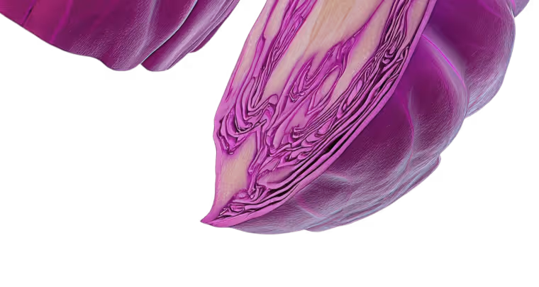 Close-up of a sliced purple cabbage showing detailed leaf patterns and texture.