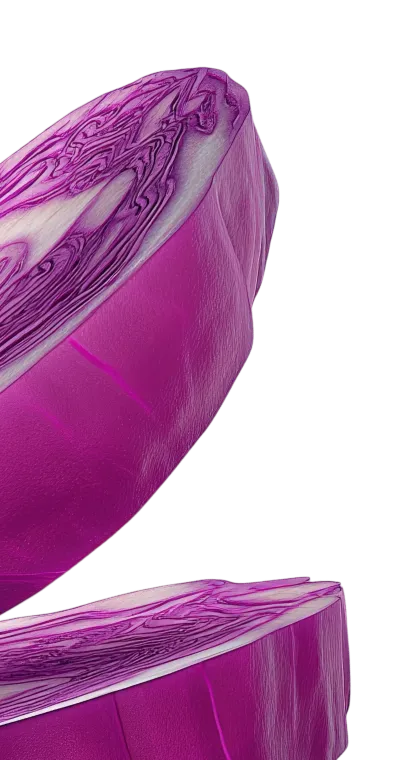 Two halves of a purple cabbage showing detailed textures and layers on a transparent background.