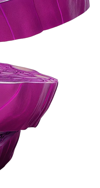 Close-up of sliced purple cabbage showing detailed texture and layers.