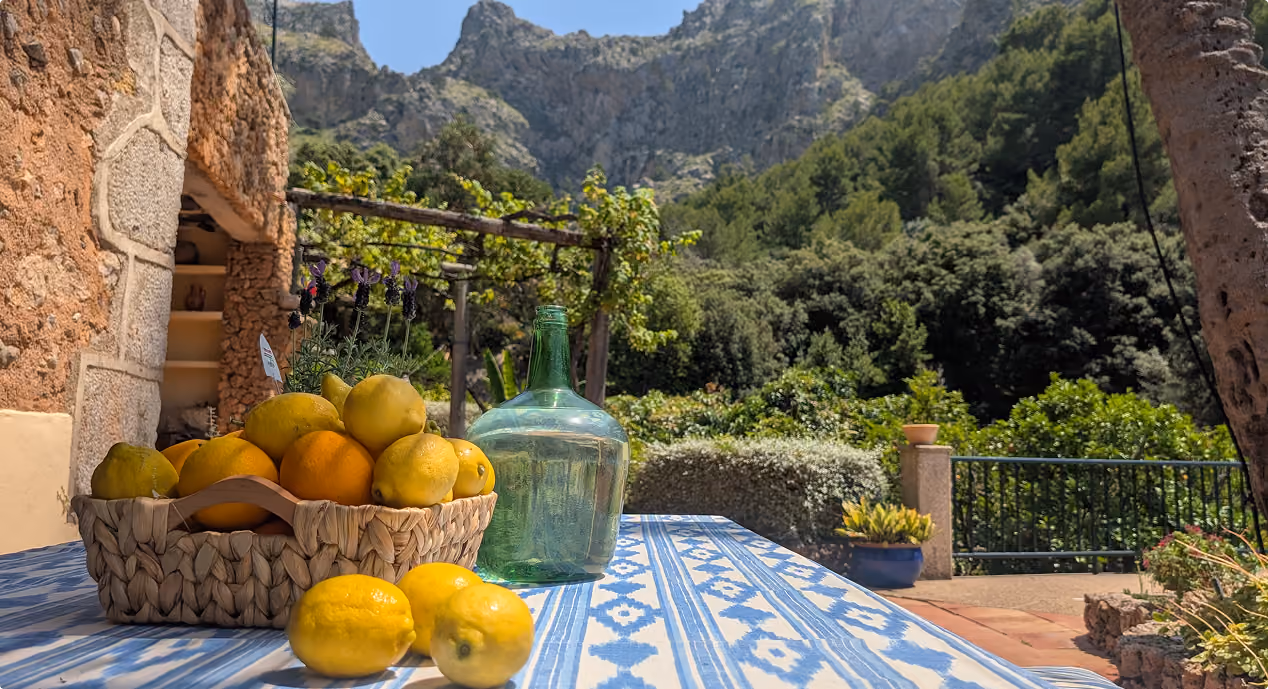Fresh lemons and garden produce with the Tramuntana Mountains in the background