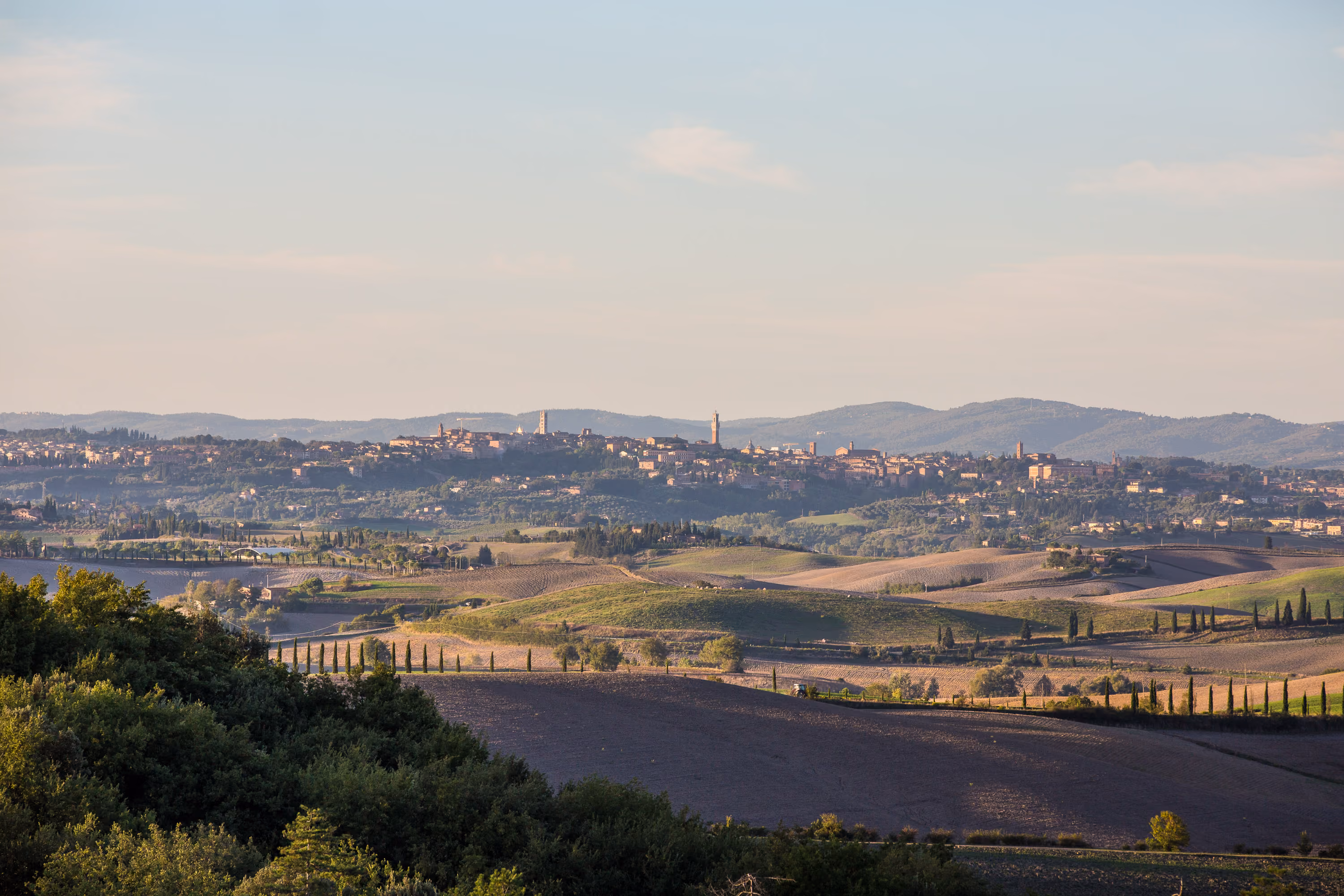 View over Siena from the pool at Castello Higo