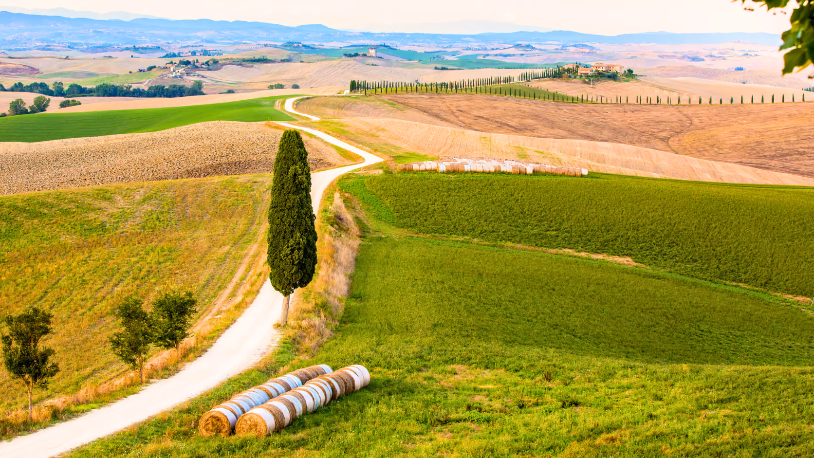 Curved dirt road through green and brown fields with stacks of hay bales and tall cypress trees, Tuscany.