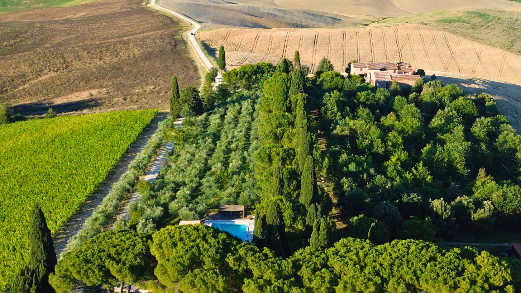 Aerial view of the countryside with a farmhouse, green trees, olive groves, and a swimming pool, Castello Higo, Tuscany.