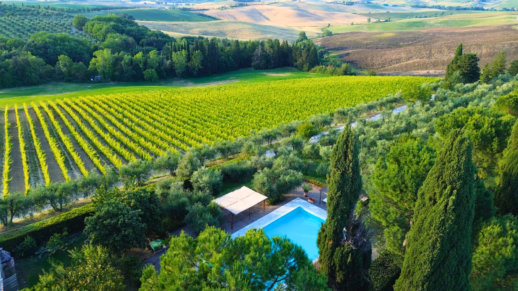 Aerial view of Castello Higos 15-metre swimming pool nestled among tall trees, vineyards, and the rolling Tuscan hills.